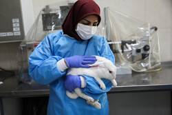 Royan Institute's animal laboratory