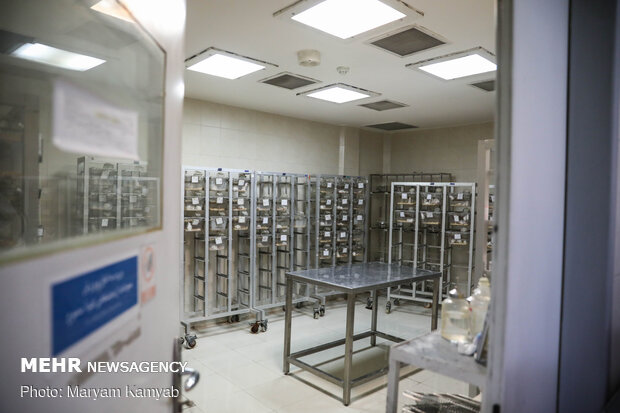 Royan Institute for Animal Biotechnology
