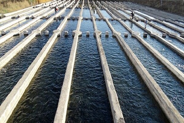 تولید ۳۰ هزار تن آبزی در لرستان