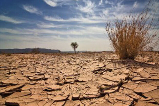 بحران خشکسالی در ایلام/میزان تولیدات کشاورزی استان کاهش یافت
