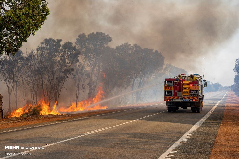 آتش‌سوزی‌های جنگلی دستاوردهای کاهش آلودگی هوا را از بین می‌برد