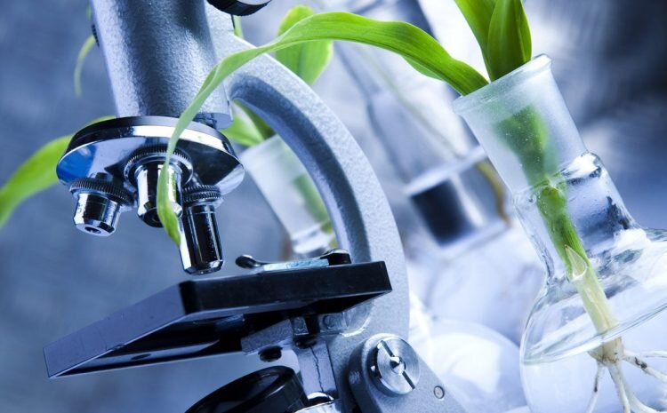 علمي،استان،هرمزگان،شهرستان،ملي