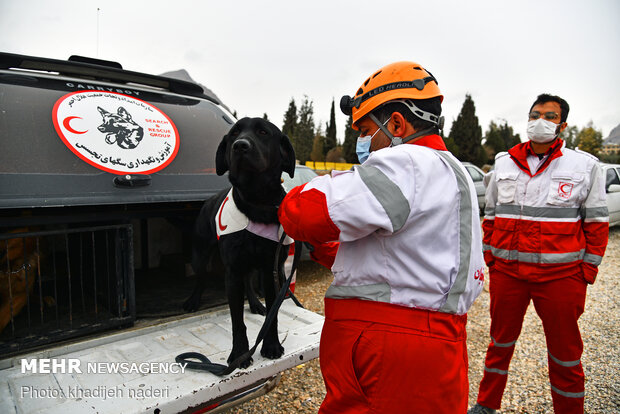 Red Crescent rescue dogs' drill in Isfahan
