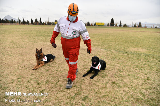 Red Crescent rescue dogs' drill in Isfahan
