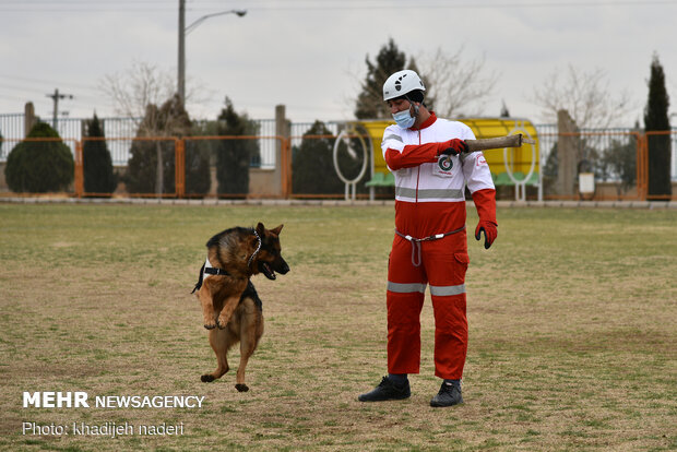 Red Crescent rescue dogs' drill in Isfahan
