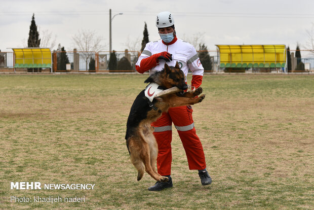 Red Crescent rescue dogs' drill in Isfahan
