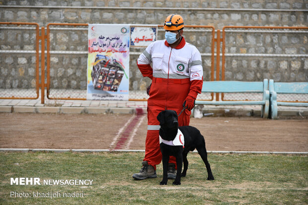 Red Crescent rescue dogs' drill in Isfahan
