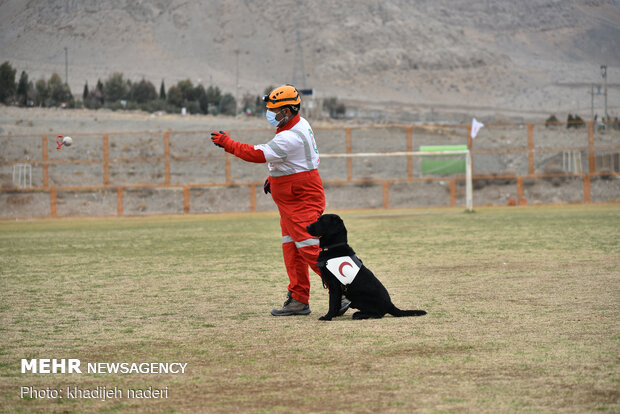 Red Crescent rescue dogs' drill in Isfahan
