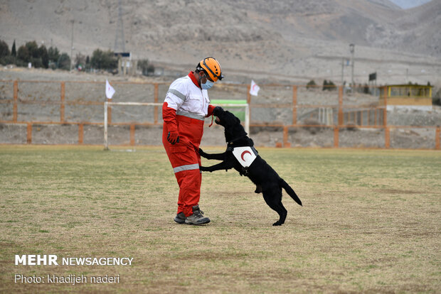 Red Crescent rescue dogs' drill in Isfahan
