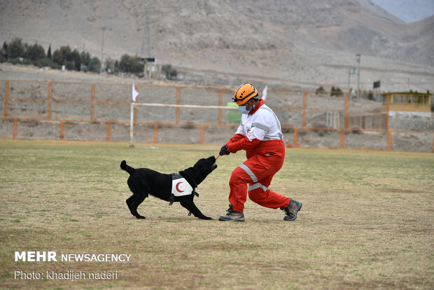 Red Crescent rescue dogs' drill in Isfahan
