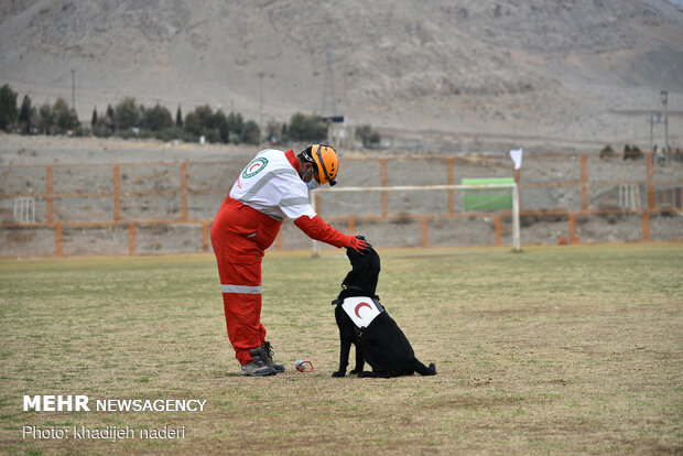Red Crescent rescue dogs' drill in Isfahan
