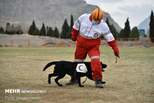 Red Crescent rescue dogs' drill in Isfahan
