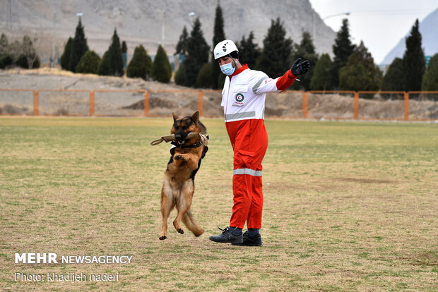 Red Crescent rescue dogs' drill in Isfahan
