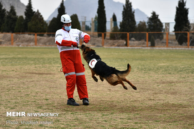 Red Crescent rescue dogs' drill in Isfahan
