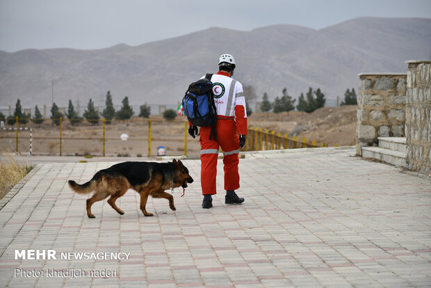 Red Crescent rescue dogs' drill in Isfahan
