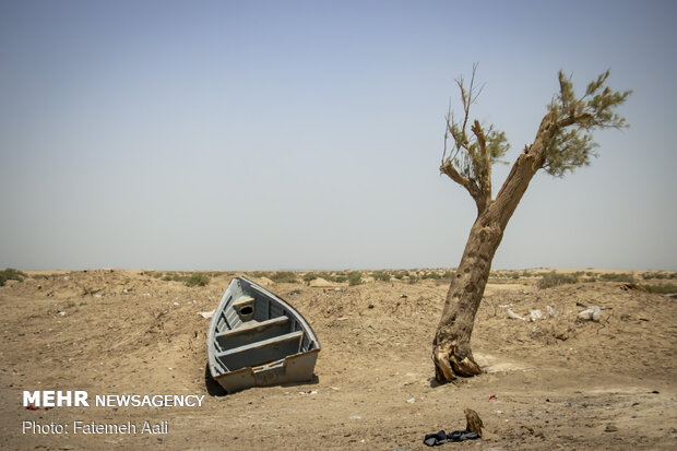 خشکی منطقه هیرمند، در پی عدم رعایت حق آبه ایران