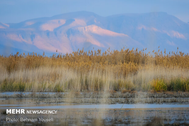 Breathtaking scenery of Meighan Wetland in central Iran
