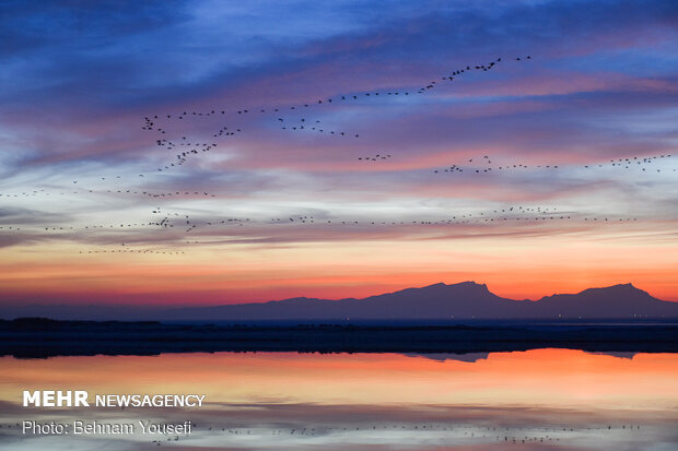 Breathtaking scenery of Meighan Wetland in central Iran
