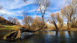 Resurrection of nature in Markzai province