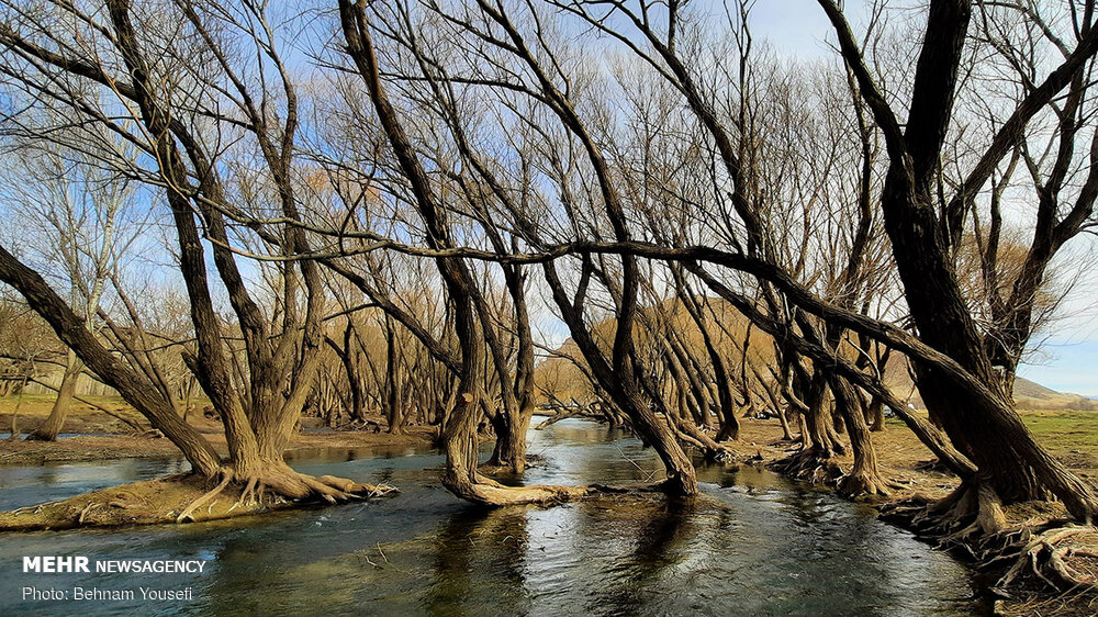 Resurrection of nature