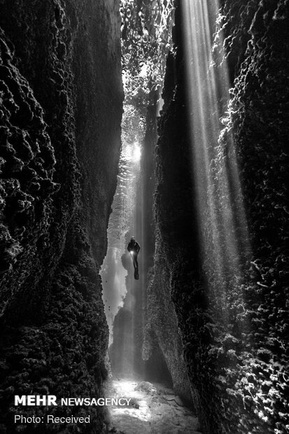 برندگان مسابقه عکاسی زیرآبی سال ۲۰۲۱