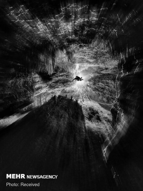 برندگان مسابقه عکاسی زیرآبی سال ۲۰۲۱