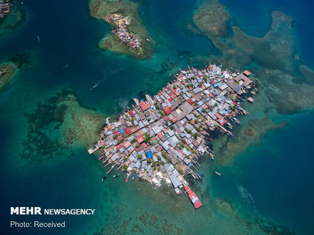 برندگان مسابقه عکاسی زیرآبی سال ۲۰۲۱