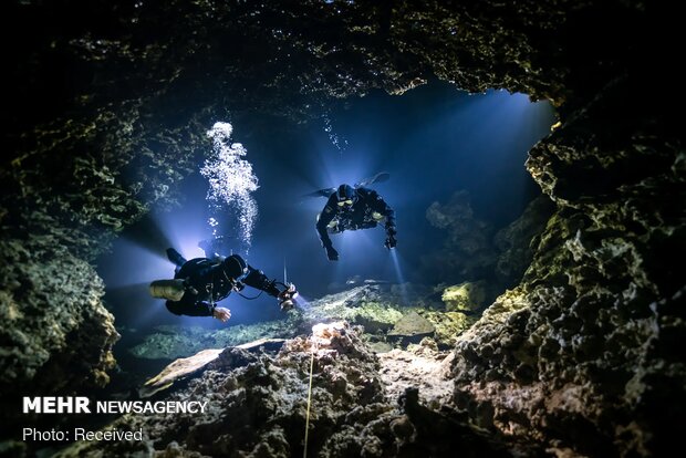 برندگان مسابقه عکاسی زیرآبی سال ۲۰۲۱