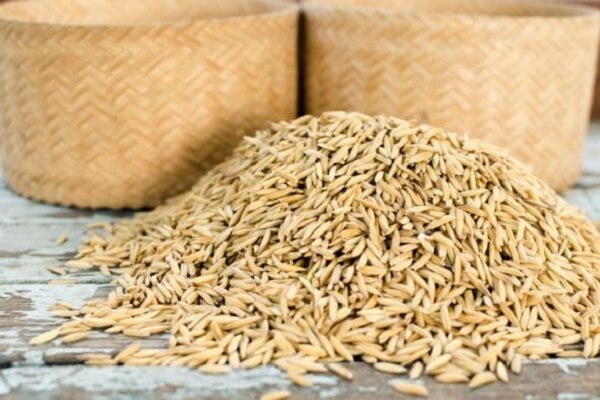 جذب ۴۰ درصدی بذر گواهی شده در خوزستان