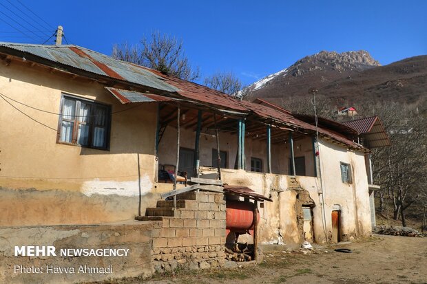 Rural serenity of winter days in Mazandaran
