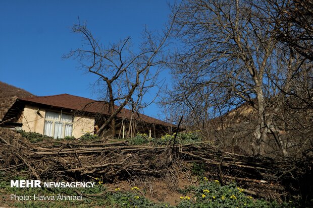 Rural serenity of winter days in Mazandaran
