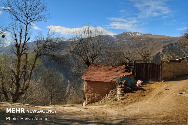Rural serenity of winter days in Mazandaran
