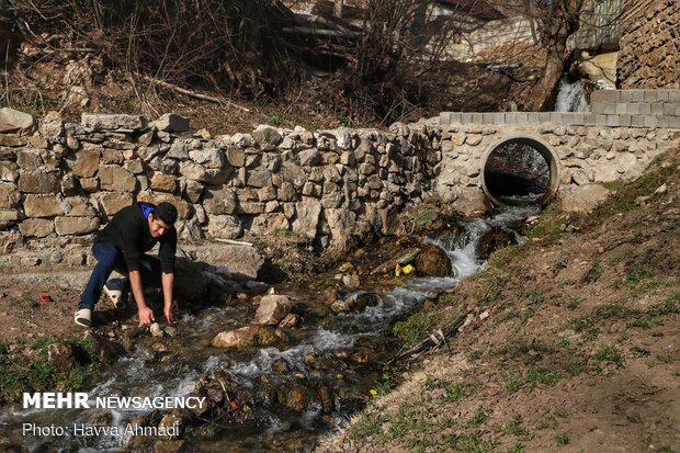 Rural serenity of winter days in Mazandaran
