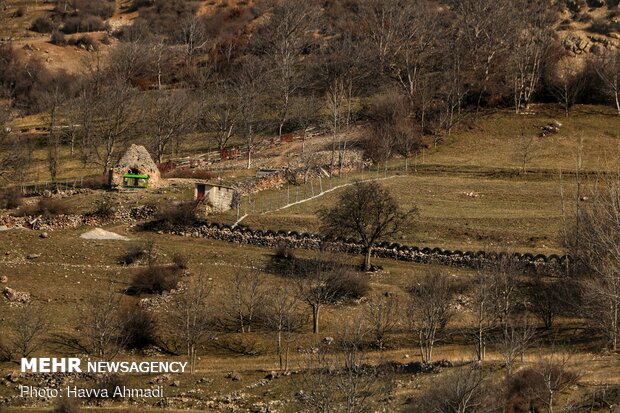 Rural serenity of winter days in Mazandaran
