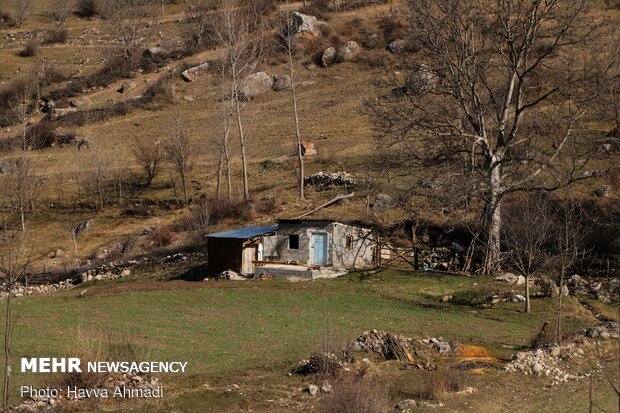 Rural serenity of winter days in Mazandaran
