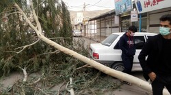 تندباد به سربندی ۱۸۵ مسکن در مازندران آسیب زد