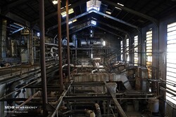 مصوبات سفر کام کارگران کارخانه قند یاسوج را شیرین می کند/ عزم دولت برای احیاء کارخانه
