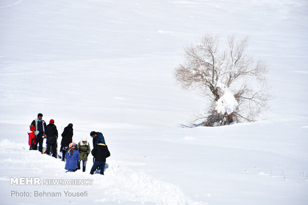 Heavy snow blankets Sarband's nature
