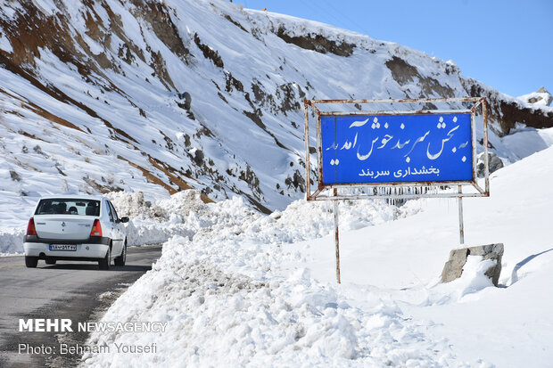 Heavy snow blankets Sarband's nature
