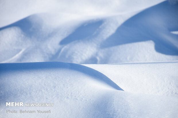 Heavy snow blankets Sarband's nature

