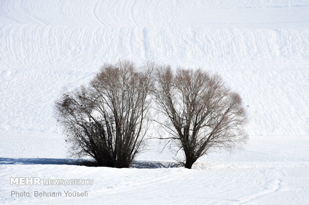 Heavy snow blankets Sarband's nature
