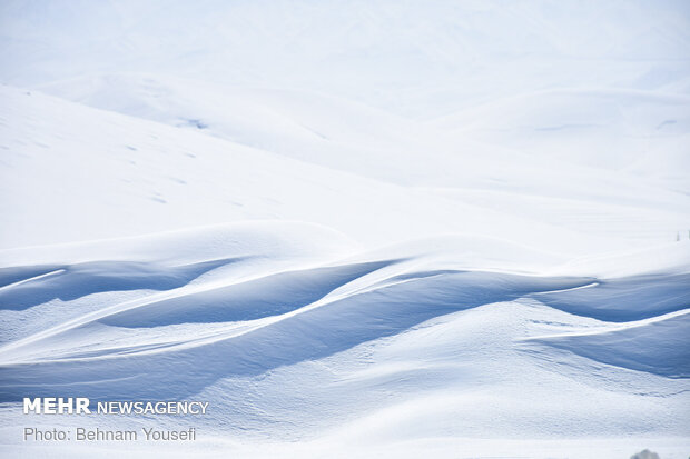 Heavy snow blankets Sarband's nature
