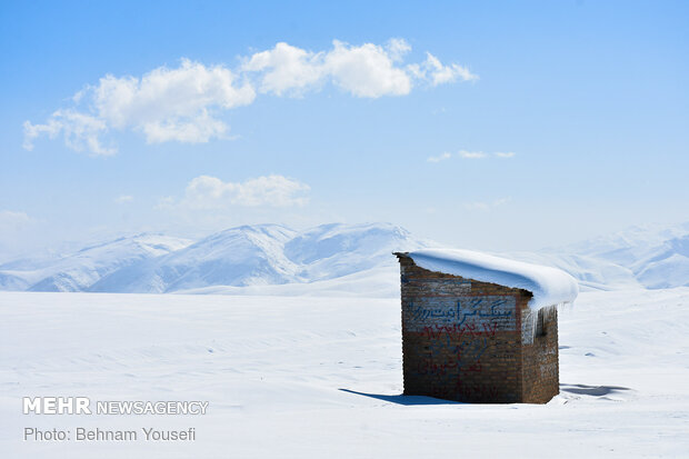 Heavy snow blankets Sarband's nature
