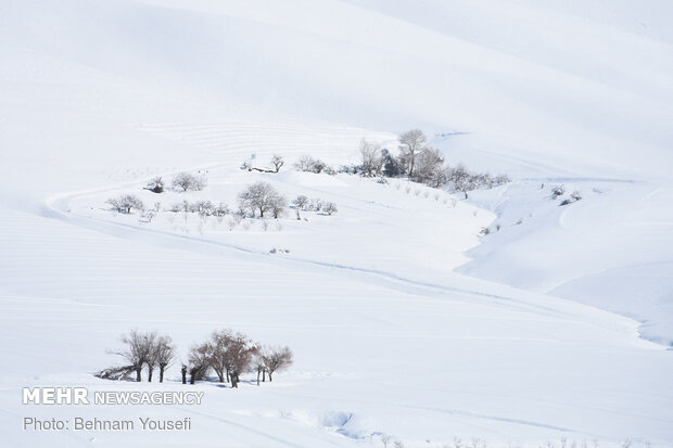 Heavy snow blankets Sarband's nature
