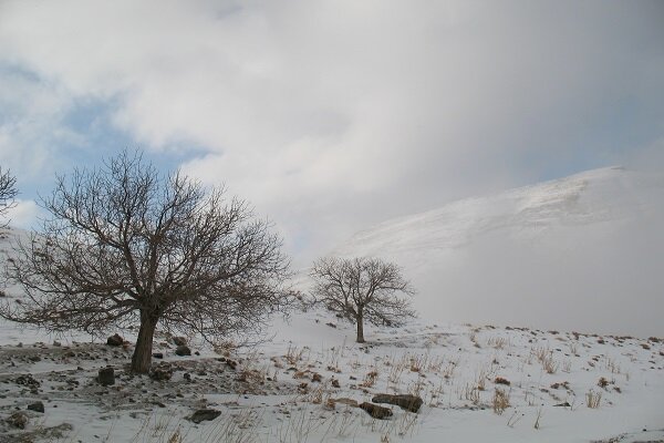 شهرستان‌های غربی کرمانشاه سفیدپوش شدند