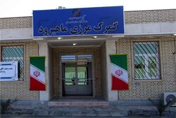 کاهش ۷۳ درصدی مسافران خروجی از گمرک ماهیرود