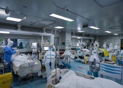 ۲۰ بیمار جدید حاد تنفسی در منطقه کاشان بستری شدند/ فوت ۱ نفر