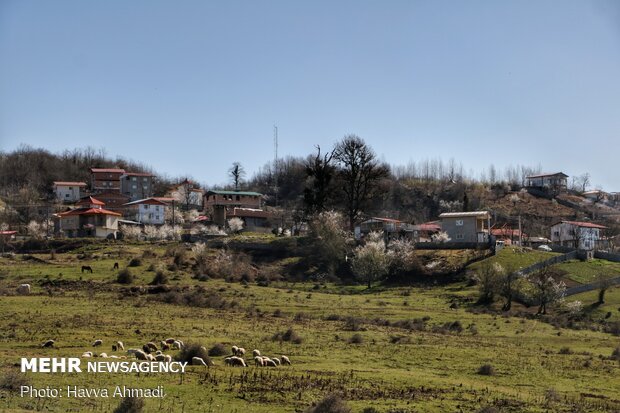 'Valila' village in Savadkuh County, N. Iran