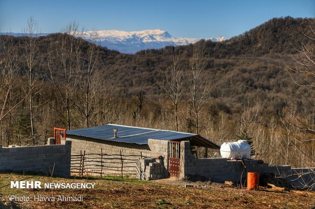 'Valila' village in Savadkuh County, N. Iran