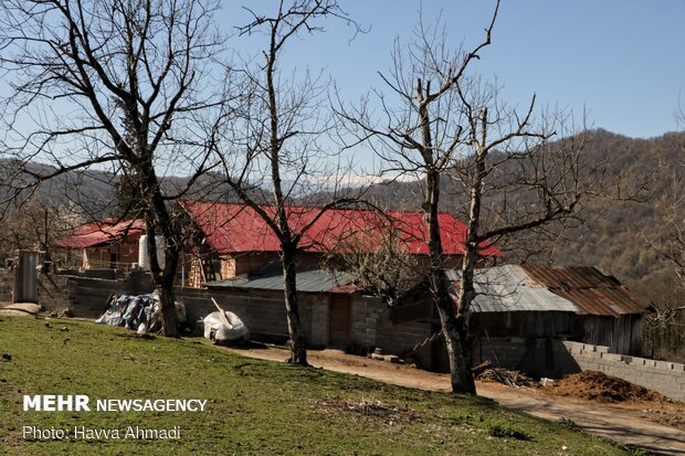 'Valila' village in Savadkuh County, N. Iran